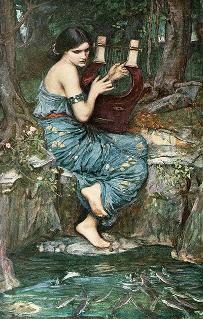 The Charmer